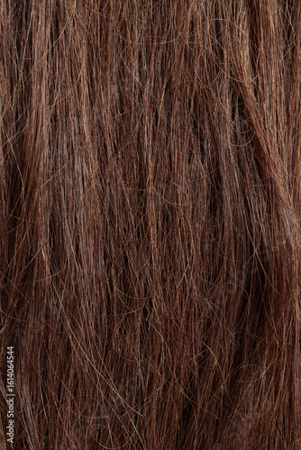Quadro em tela brunette hair, brown long dull tangled hair with split ends, macro hair texture