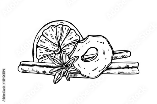 Christmas fruit ingredients for mulled wine vector isolated illustration. Dried orange and apple slices, cinnamon stick, star anise. Winter fruits graphic sketch for drink design, festive decoration