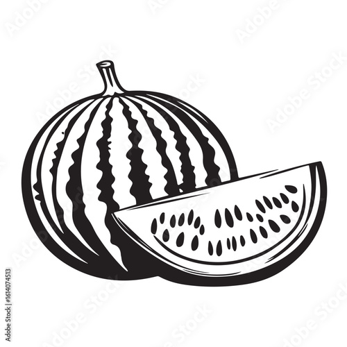 vector illustration of a watermelon