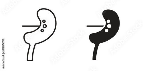Kidney disease icon in a black stroke vector design and flat solid version on white background