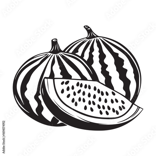 vector illustration of a watermelon