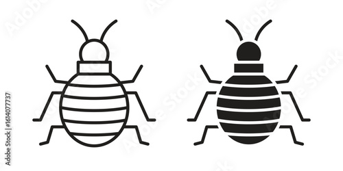Bedbug icon in a black stroke vector design and flat solid version on white background