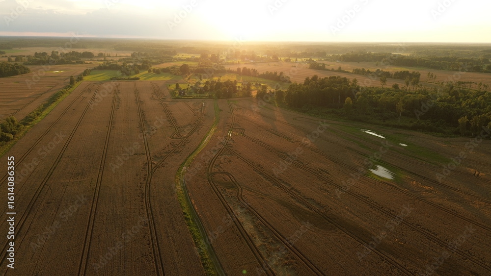 Naklejka premium Drone Horizon: Aerial Sunset Over Wheat Fields Agroculture