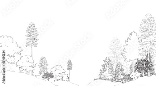 Architectural Drawings, Minimal style cad tree line drawing, Side view, set of section wetland forest outline for landscape design drawing. Vector illustration in seperate element