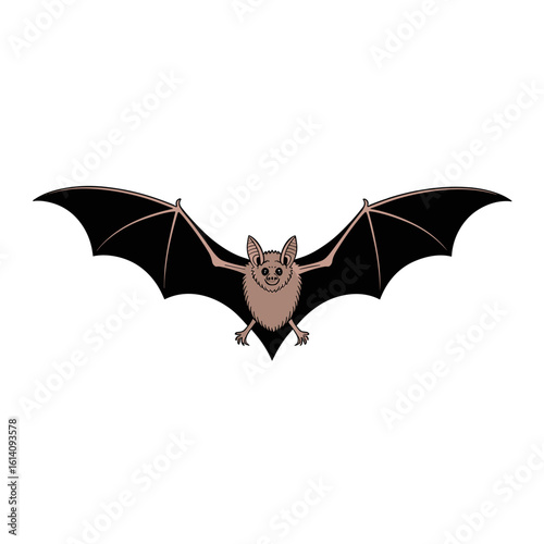 Bat