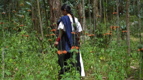 Indigenous woman picking flowers in a forest