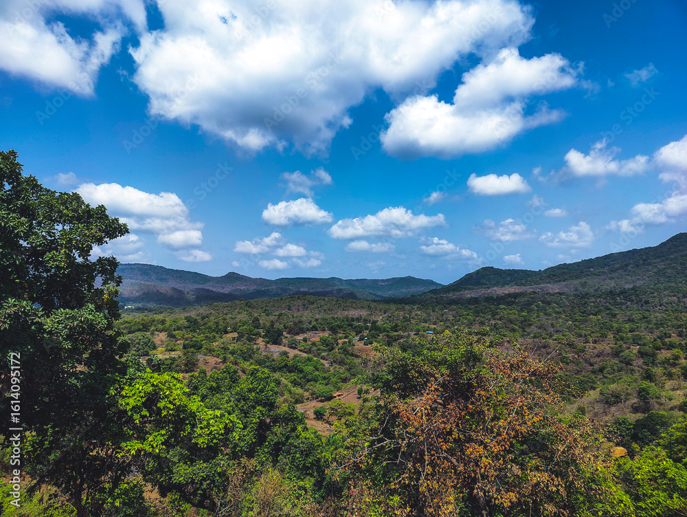 Fototapeta premium 4K Scenic View of Navi Mumbai With Blue Sky Over Lush Green Forest.