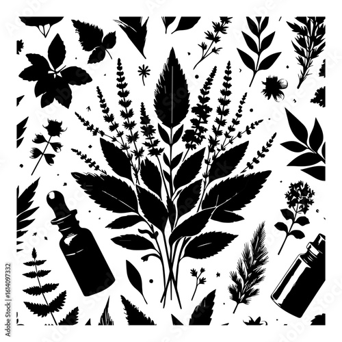 Black Silhouette Botanical Elements and Dropper Bottles.