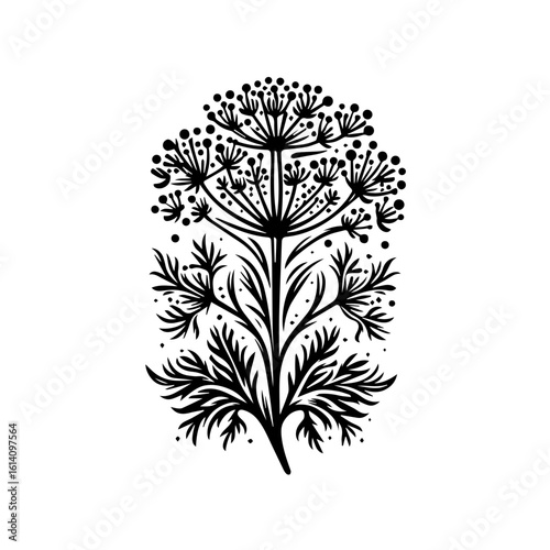 Black Silhouette of Dill Flower and Leaves 1.