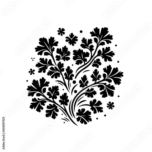 Black Silhouette of Parsley Leaves and Flowers.