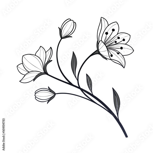 Elegant single stem line art with two delicate flowers on a clean white background