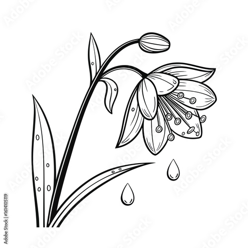 Delicate line art flower with realistic dew drops on a clean white background