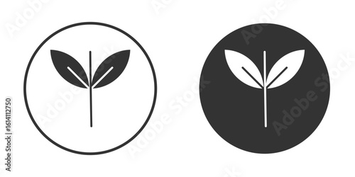 Basil icon