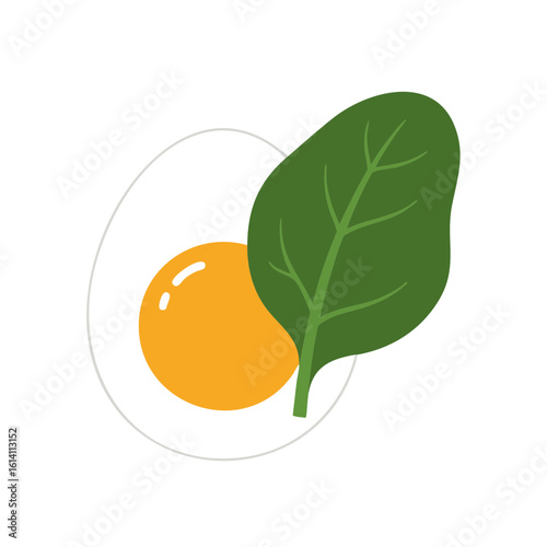 Vector illustration of egg with spinach on white background, breakfast and nutrition concept