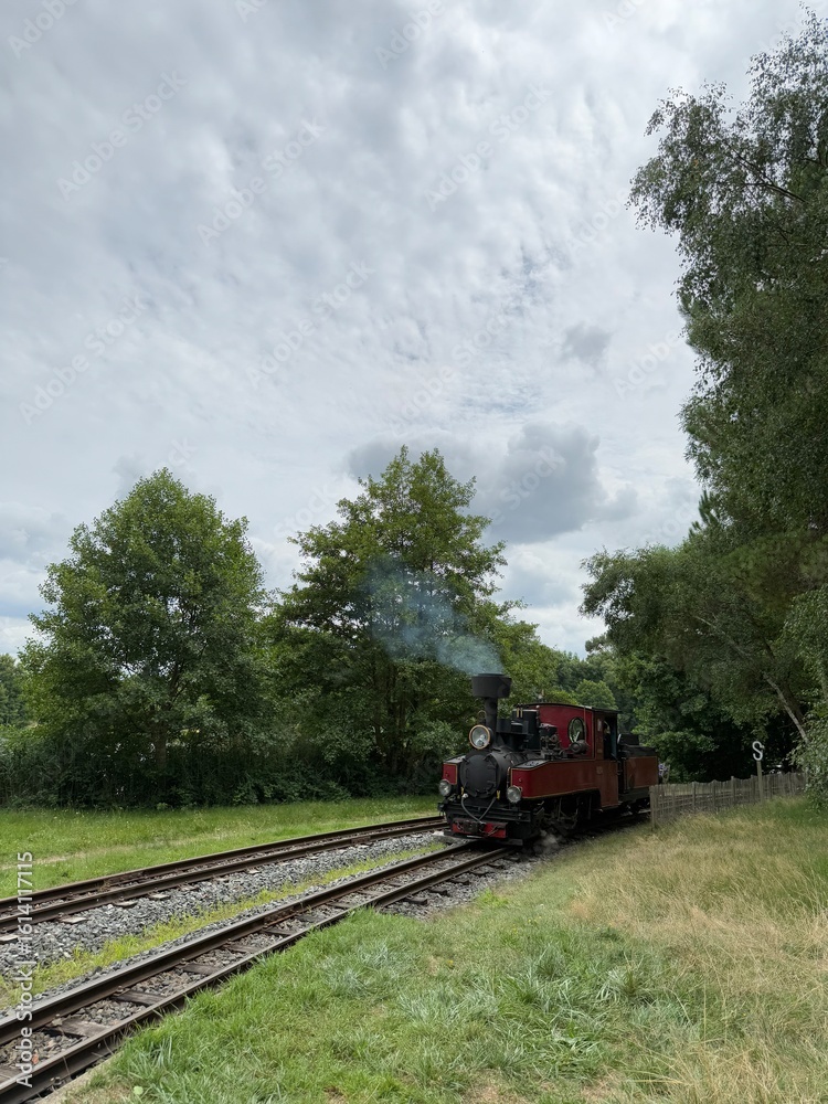 Fototapeta premium Train à vapeur, Rillé, France