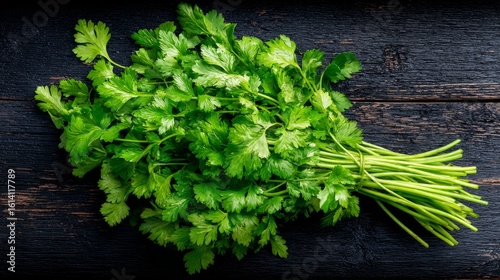 Top-down view of fresh coriander bunch arranged on black wooden table