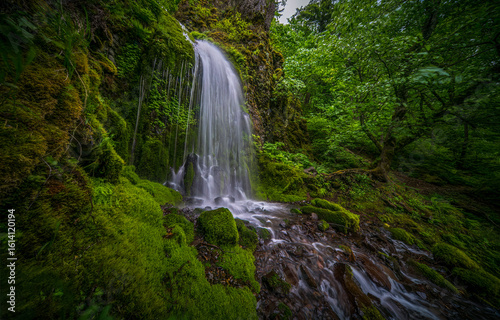 waterfall in the woods