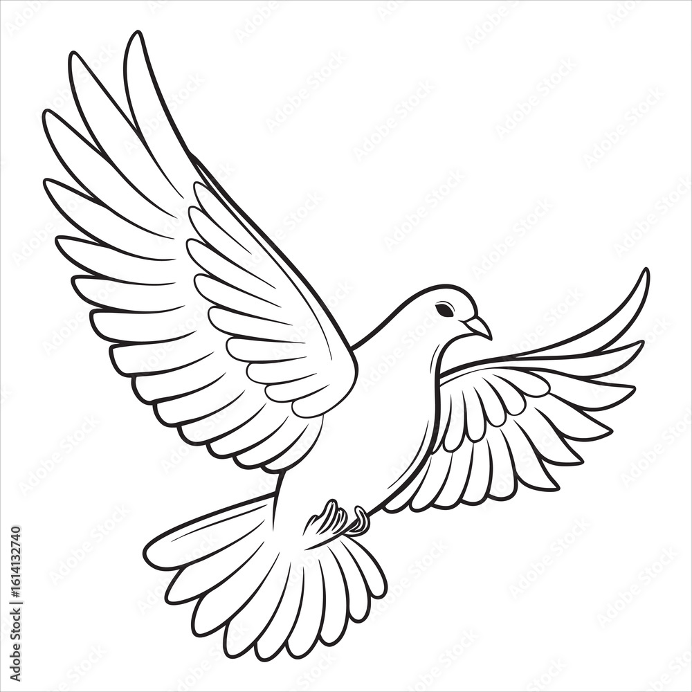 Fototapeta premium Dove Vector
