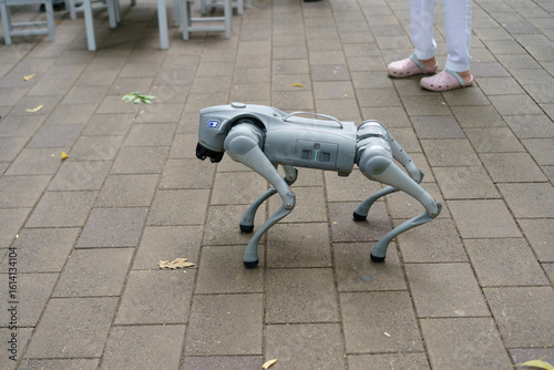 Robot dog exploring outdoor area during daytime, showcasing advanced technology and robotics in a public space