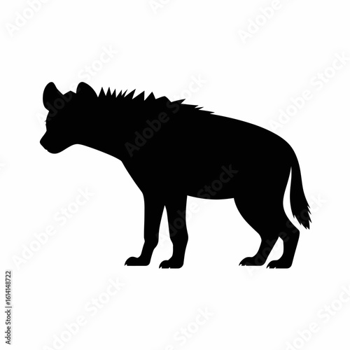 Hyena Silhouette on White Background