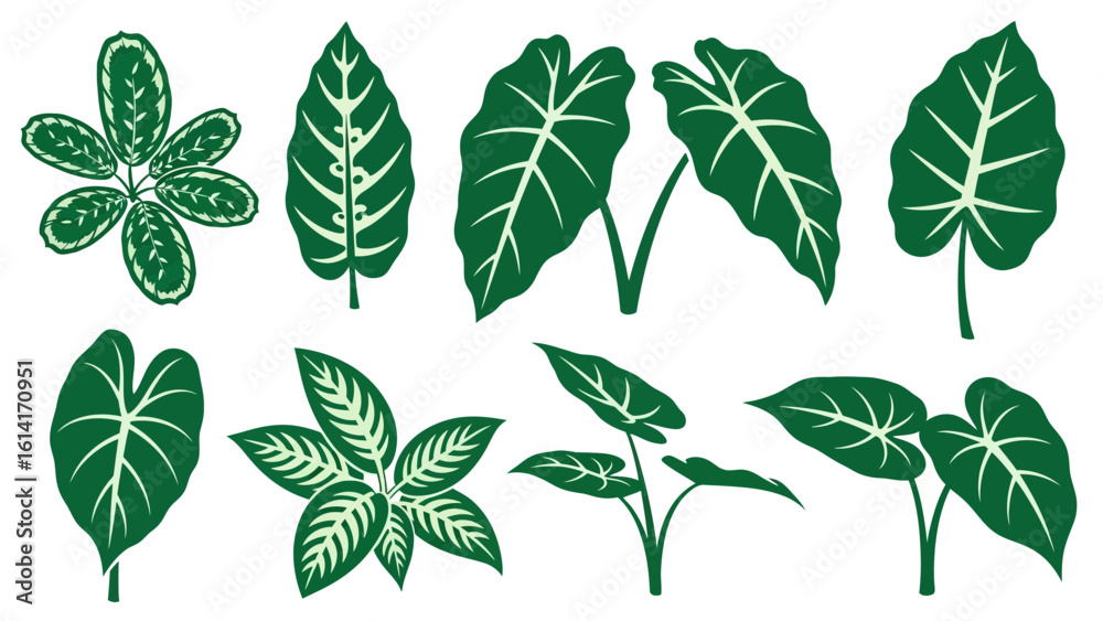 Botanical Elegance A Collection of Diverse Green Leaves, 