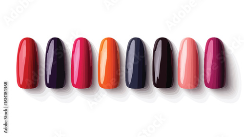 Nail Color Variations Vector Image