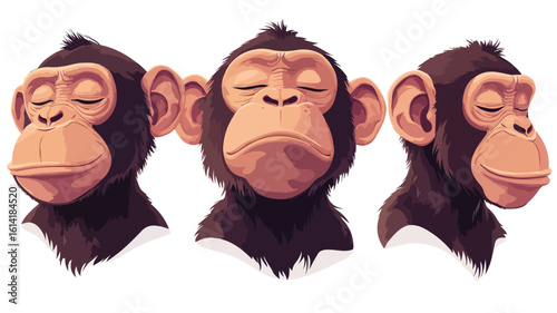 Adorable Monkey Expressing Emotions Vector Set