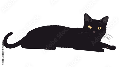Vintage Black Cat Illustration Wide Angle