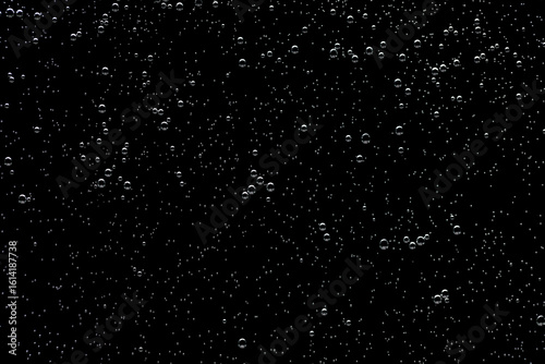 Bubble texture isolated on black background for compositing. Close-up photo