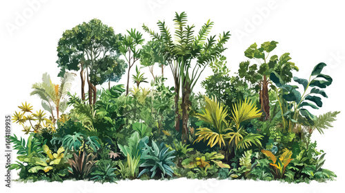 Lush Tropical Forest Woodland Vegetation Scene