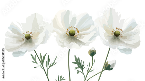 Elegant White Flowers in Wide Angle