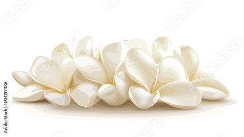 White Frangipani Flower Petal Close-Up