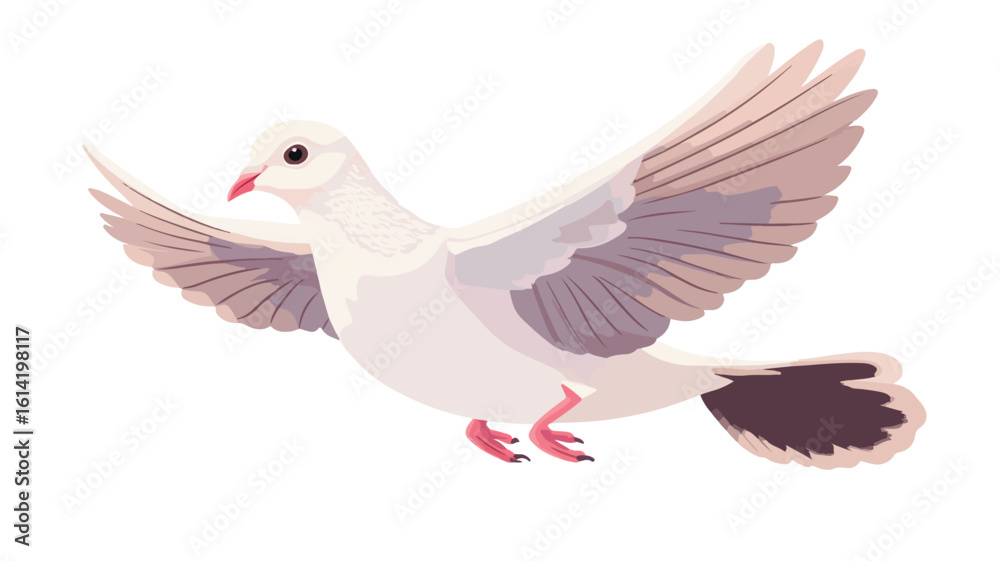 Fototapeta premium Elegant White Pigeon in Flight