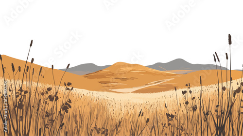 Serene Grassland Hills Outdoors Landscape View