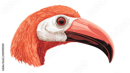 Bird Beak Close-up Wildlife Photography