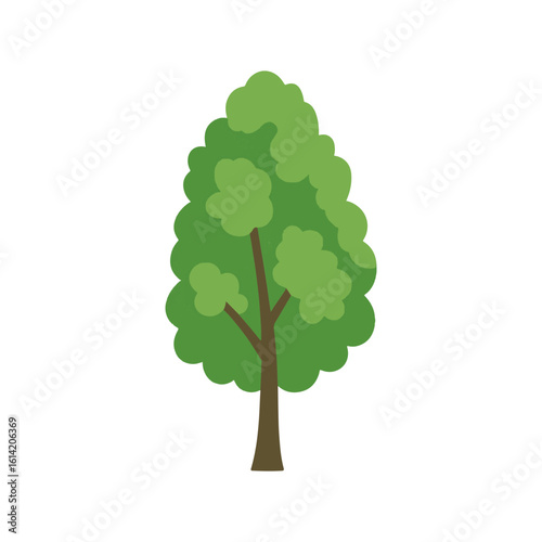 tree Poplar illustration vector on white background
Vector illustration on white background flowers