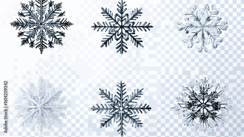 Snowflake Element Set on Transparent Background