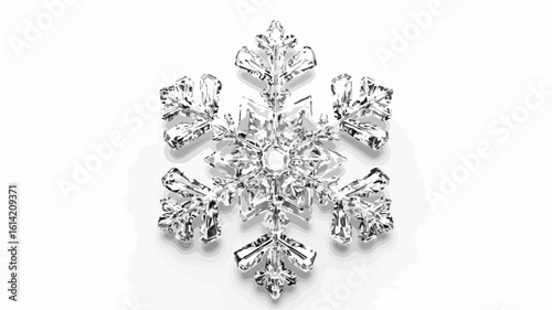 Snowflake on White Background Macro Shot