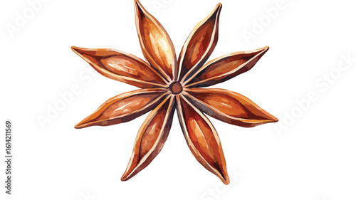 Star Anise Watercolor Illustration