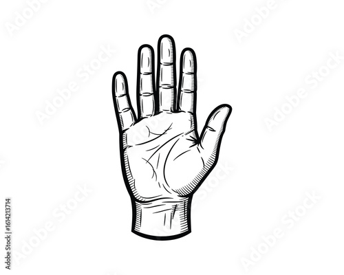 Monochrome Hand with Palm Lines Showing, Textured Gesture, Isolated Graphic Element Vector Illustration