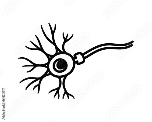 Monochrome Neuron Cell Illustration, Simple Line Drawing Style Neuron with Branches, Vector Illustration