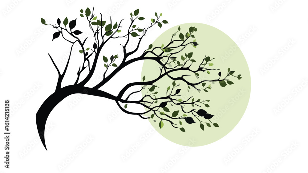 Obraz premium Nature elements composition with wide angle view