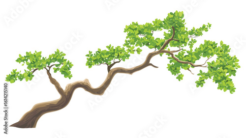 Bonsai Leaf on Centered Tree Branch
