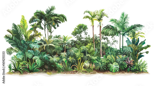 Lush Tropical Forest Woodland Vegetation Scene