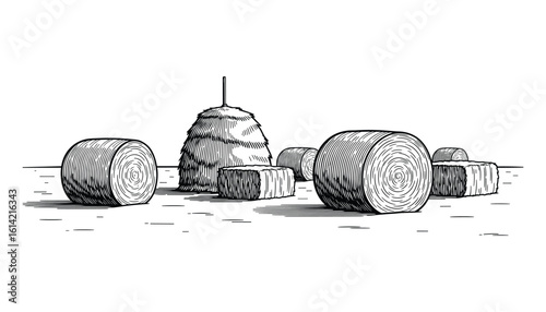 Sketch Hay Bales and Stacks in Field, Rustic Texture, Black and White Farm Landscape, Vector Illustration