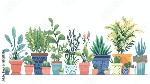 Planting Process Vector Illustration