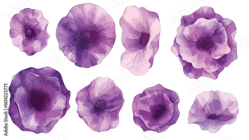 Purple Watercolor Coquette Element Set