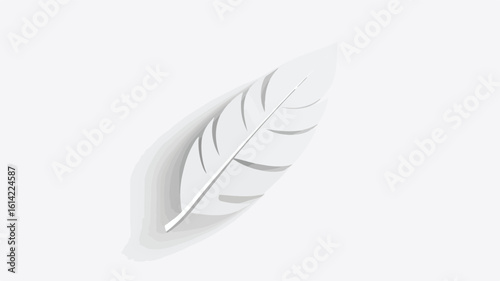 Elegant White Bird Feather Close-Up