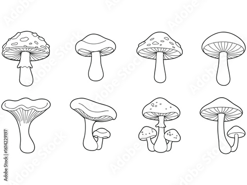 Collection of hand drawn mushroom illustrations in black and white
