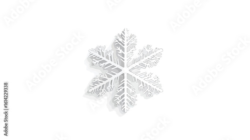 Snowflake in Winter: Wide-Angle Centered Composition
